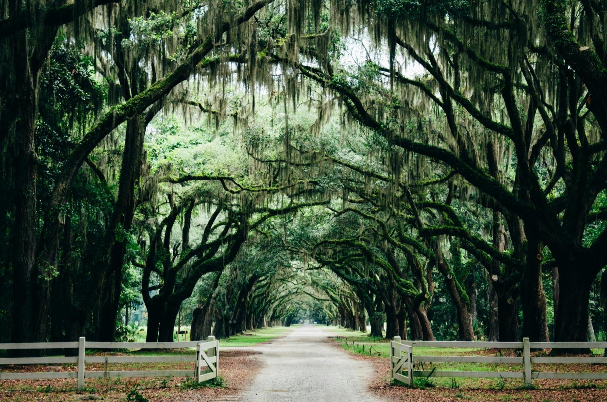 Kimpton Brice Hotel By Ihg Savannah Zewnętrze zdjęcie